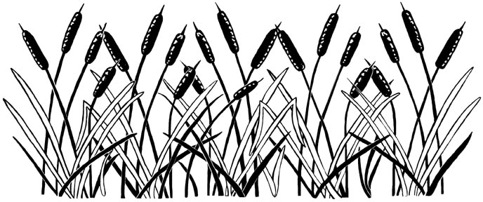 cat tails clip art free - photo #45