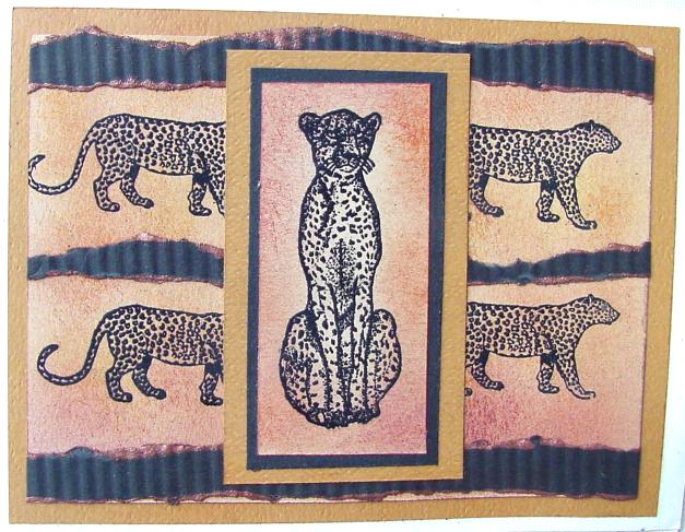 Cheetah & Leopard card by Melanie Caddell