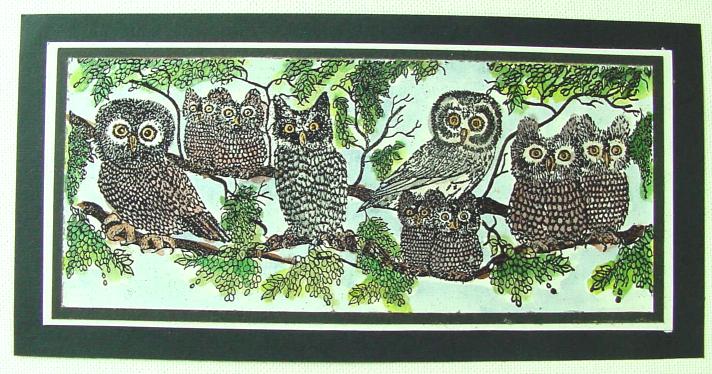 Owl card by Melanie Caddell