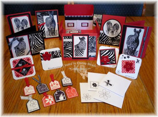 Zebra stationary set by Kristine B.